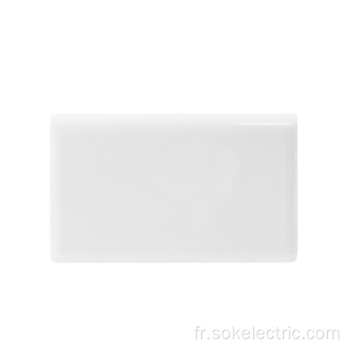 Accessoires pour interrupteur mural électrique 147 Blank Plate White